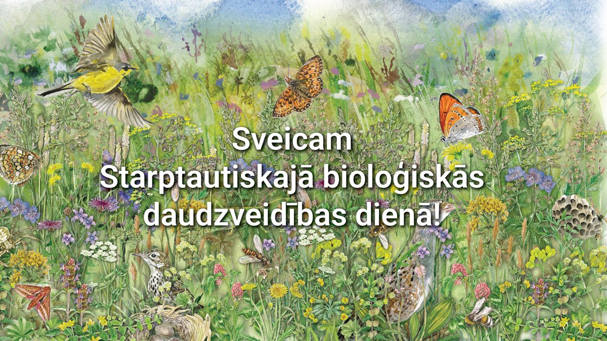 dabaDAP's tweet photo. 🌍💚Šodien visā pasaulē atzīmē Starptautisko bioloģiskās daudzveidības dienu. Aicinām ikvienu aizdomāties, kā uz savas palodzes, dārzā vai sētā varam veicināt Latvijas un pasaules bioloģisko daudzveidību. Ieskaties - https://t.co/P8B4YkFkXX https://t.co/iraMt0lFCx