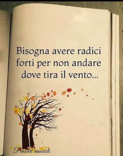Gioia Cara tweet media