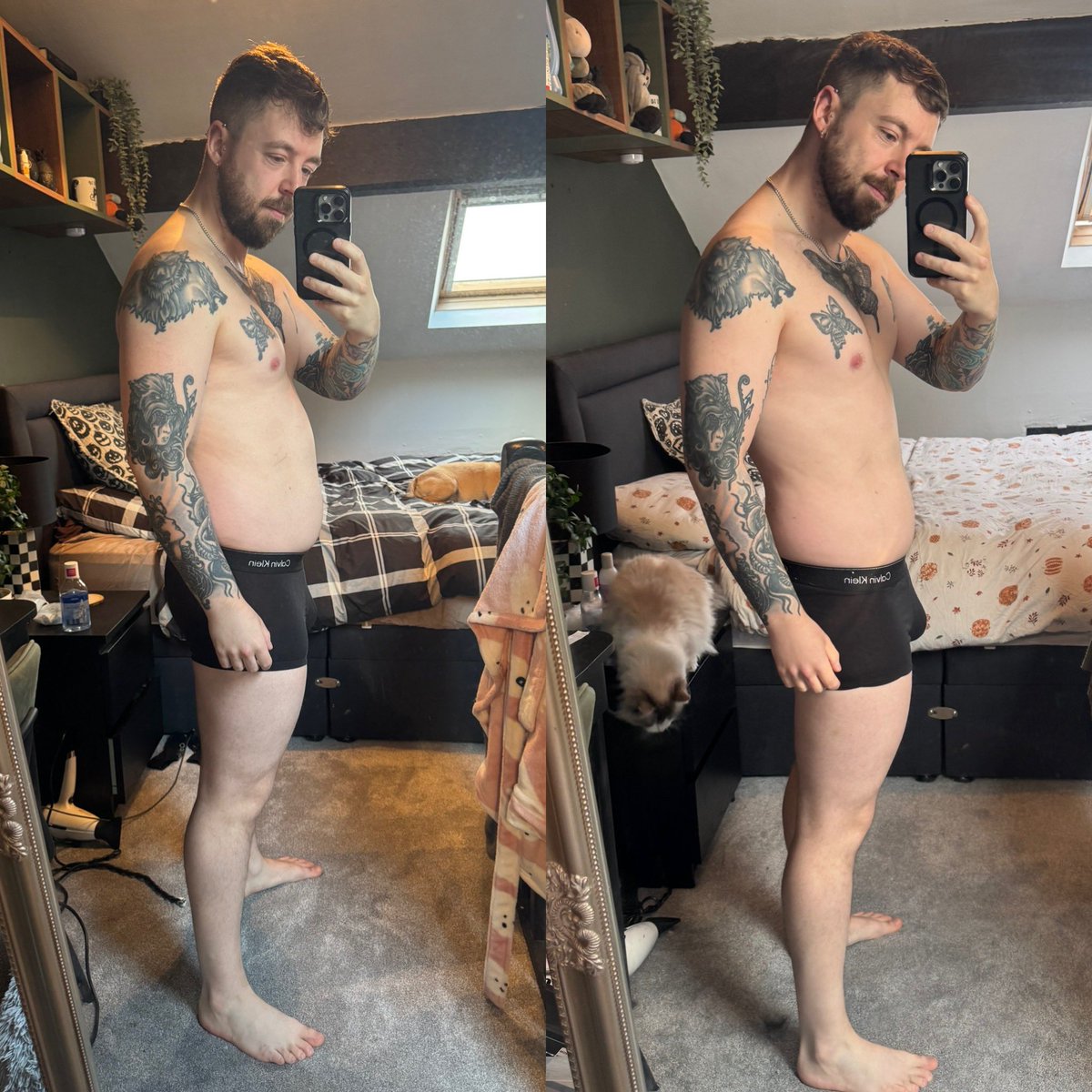 Dan tweet media