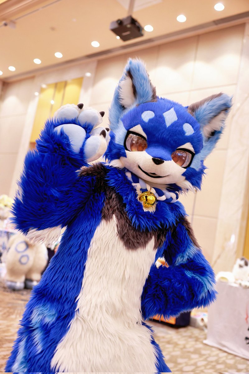 BlueWind0317's tweet photo. 哟~
📷：@小羽
#fursuitfriday https://t.co/w3S4TOpldF