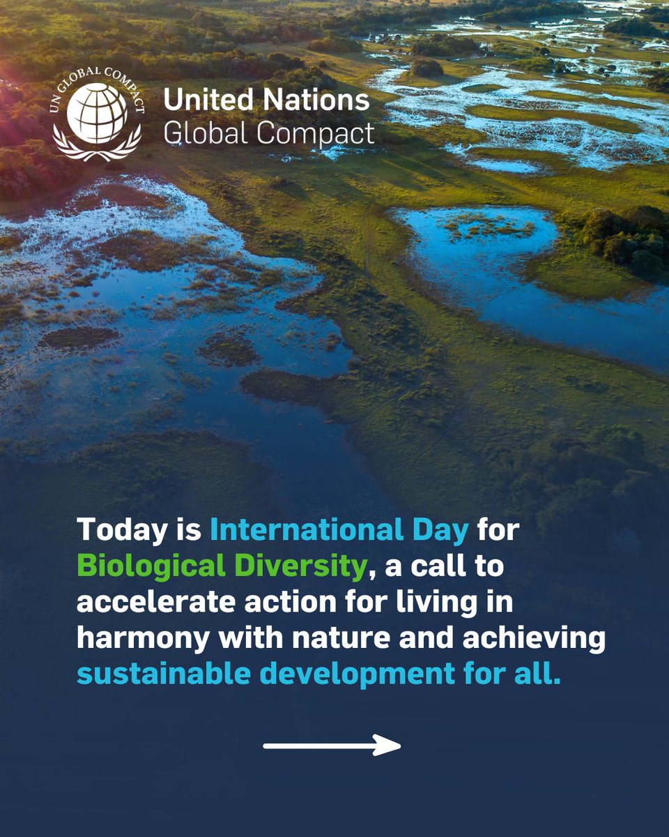 UN Global Compact Network South Africa tweet media
