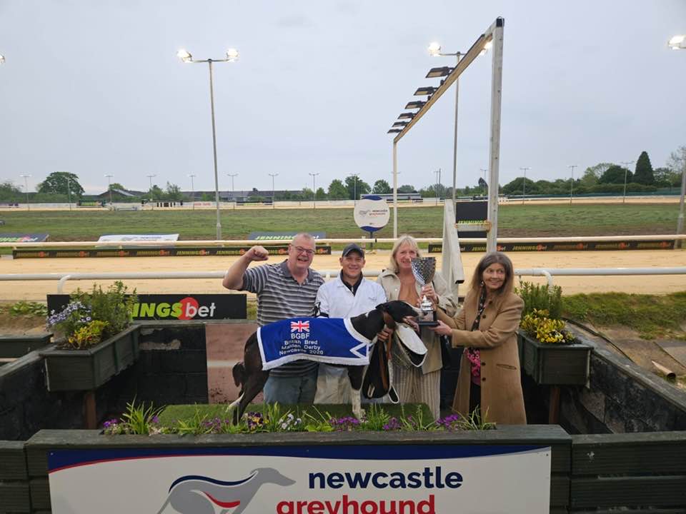 Newcastle Greyhound Stadium tweet media