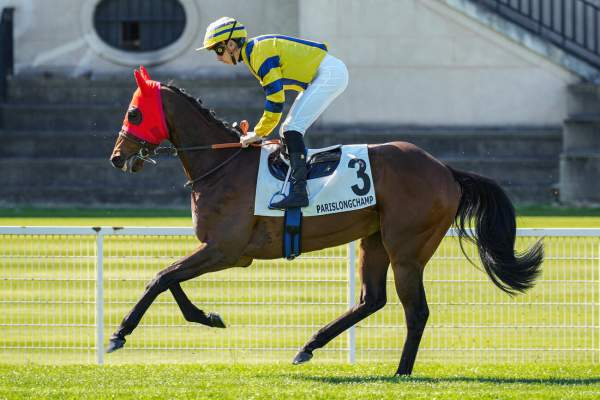 Unikk95's tweet photo. 📆21.05.26

✴️R1 PARIS LONGCHAMP 

🐴704 PAS DANSANT s'impose a 10/1 ! 
C'était encore une fois annoncé sur le groupe !

➡️Rejoignez nous pour passer un bon moment
🔗 https://t.co/3xEeIhfK6p

#Horseracingtips #Teamparieur #Race #Win https://t.co/Rct1LjaQBC