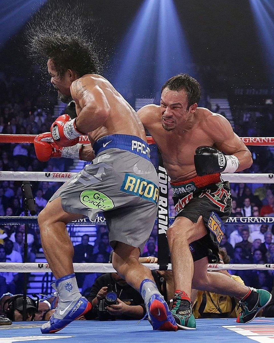 boxing tweet media
