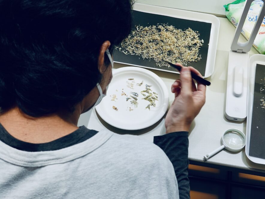 sakanato_'s tweet photo. ＜水の生き物＞に関するワークショップを多数開催！
博物倶楽部「まちかどミュージアム」がサカナブックスで初開催【東京都新宿区】
▶︎https://t.co/mVup91eJhC

サイエンスボランティアサークル「博物倶楽部」は6月14日、SAKANA BOOKSで「まちかどミュージアム×SAKANA BOOKS」を初開催します🐟 https://t.co/vGjg1zhT7m