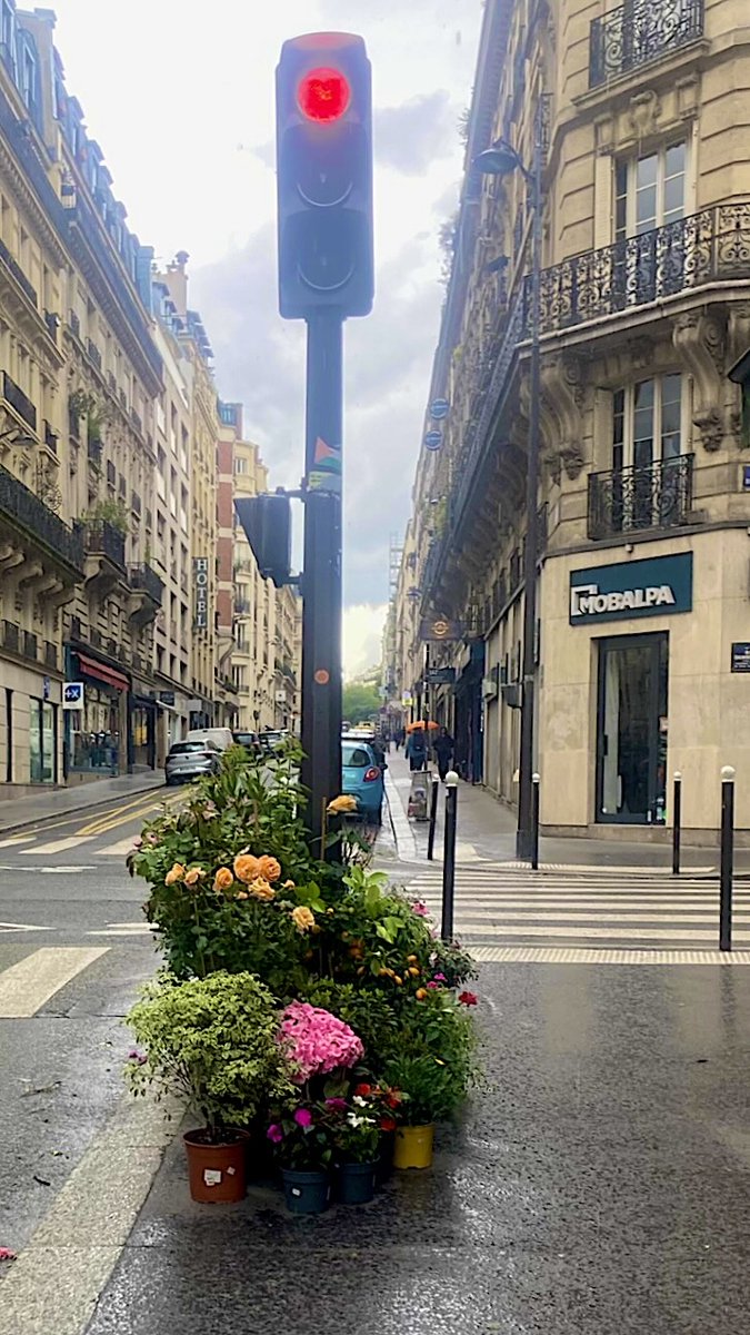 focusonparis's tweet photo. Floral Friday: when #flowers stop traffic on a drizzly afternoon. #floral #springtimeinparis https://t.co/Bs1oEvSO7C