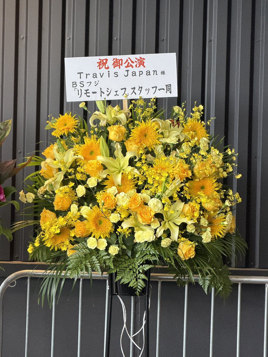 むーこ🐯 tweet media