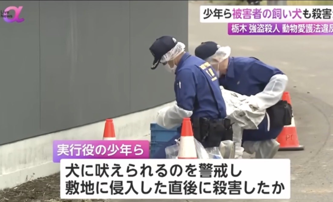 サナエトしんじろう tweet media