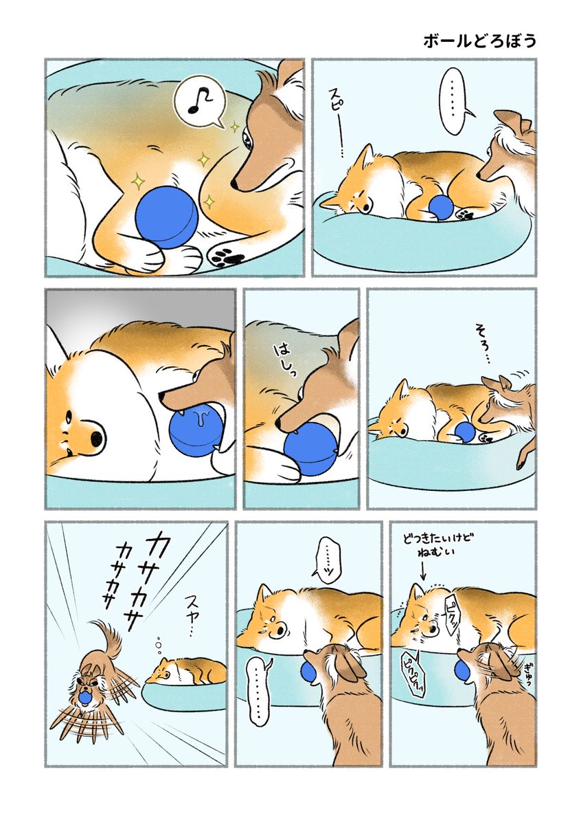 さかぐちまや tweet media