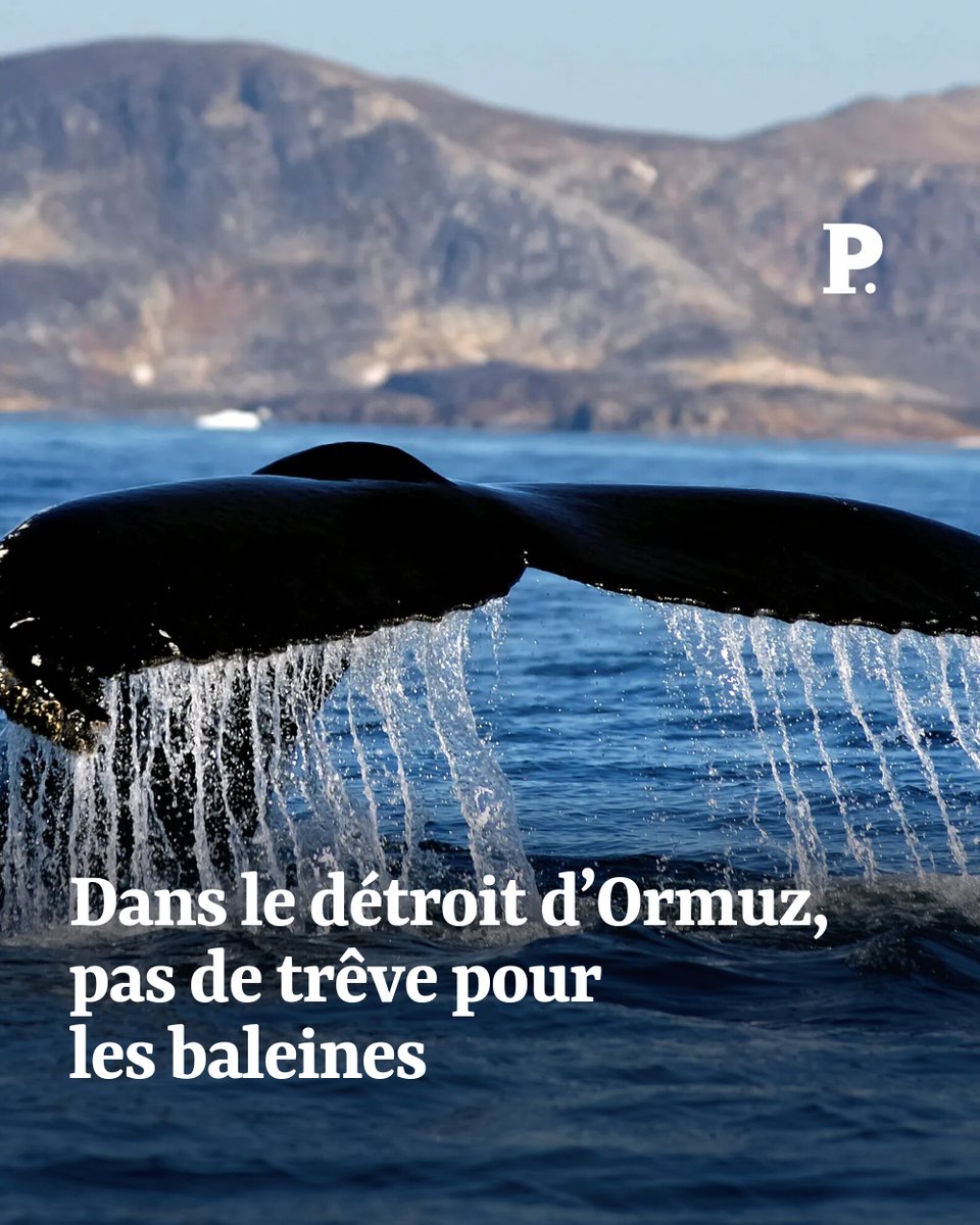Le Point tweet media