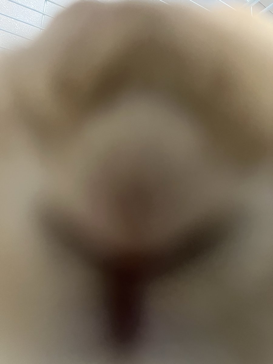 ⋆☽︎︎·̩͙ゑびびし☄︎☄︎ tweet media