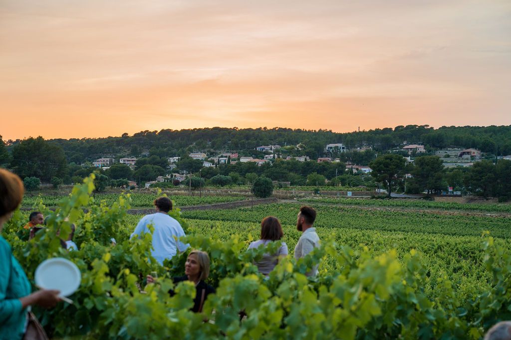 VarTourisme's tweet photo. 🍷 Escapades @VINSDEBANDOL du 5 au 7/06 à #LaCadiereDAzur

🥾🍇 Rando. gastro. accords mets/vins &amp; découverte terroir #Bandol au Domaine de la Garenne

🤝 @VarTourisme soutient RDV #oenotourisme avec 20 domaines du @Departement_Var

➕infos &amp; billets ici : https://t.co/D5A8hKn7Vh https://t.co/heIrEnI9Pf