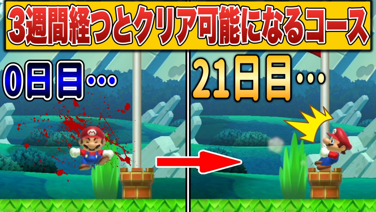 クサヤ人🦷マリメ教育チャンネル tweet media