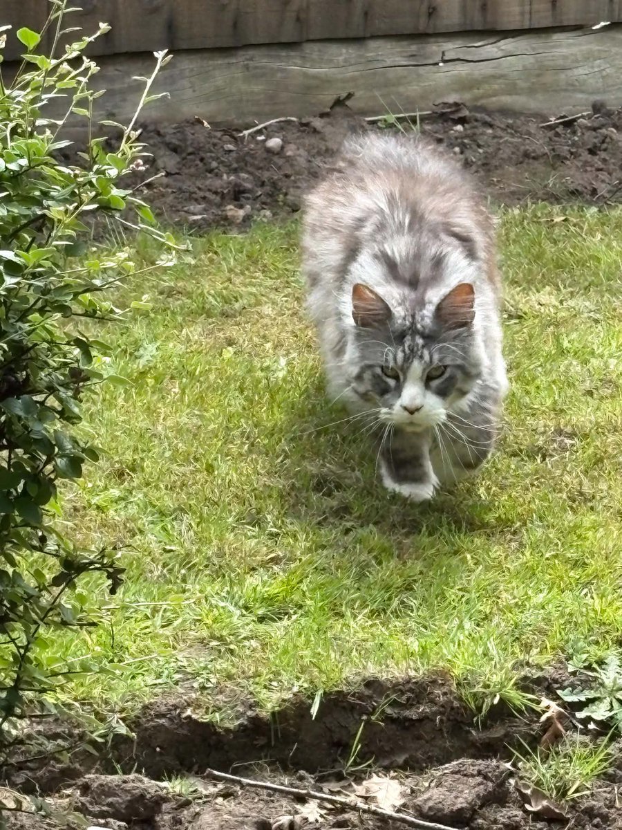 Aloysius O'Hare in memory of Angel Cilla 🌈 tweet media
