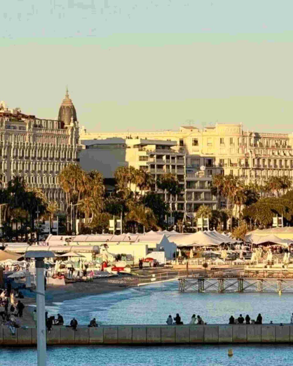 actu Nice tweet media