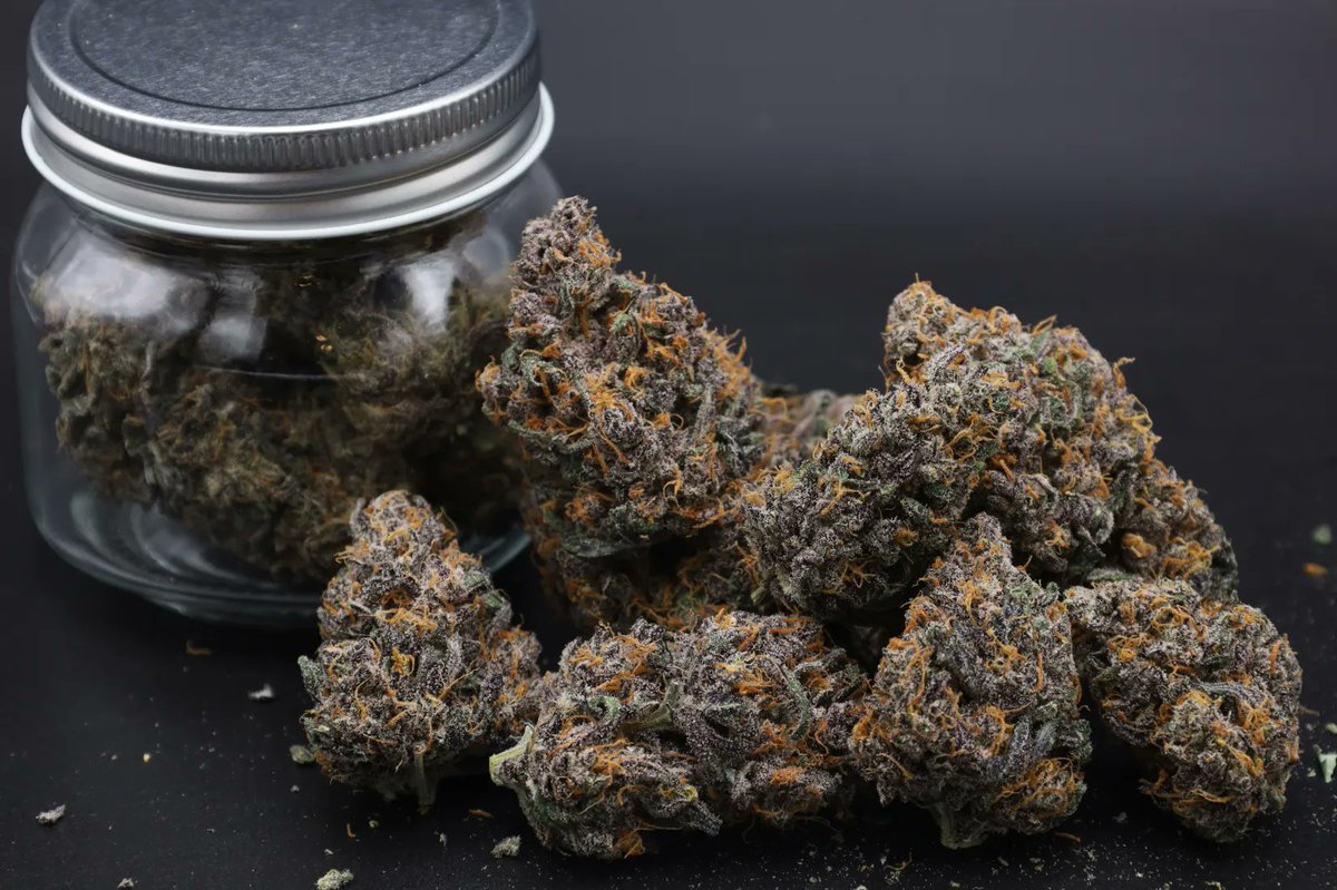 Fast_Buds's tweet photo. 💨4⃣2⃣0⃣ HIGH GIVEAWAY 💨
T-shirt + NEW LOGO SOCKS + TEXTILE POT + Jar
10 seeds of your choice 🌱✨
You know what to do:
• Follow @fast_buds
• Tag 3 friends
• Like + Retweet
Mango Cherry Runtz Auto https://t.co/ty0m2rR83Z