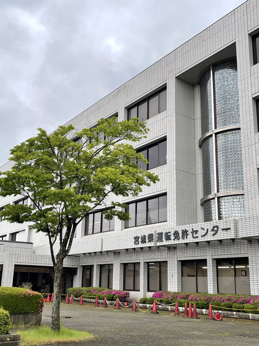 ひよ tweet media