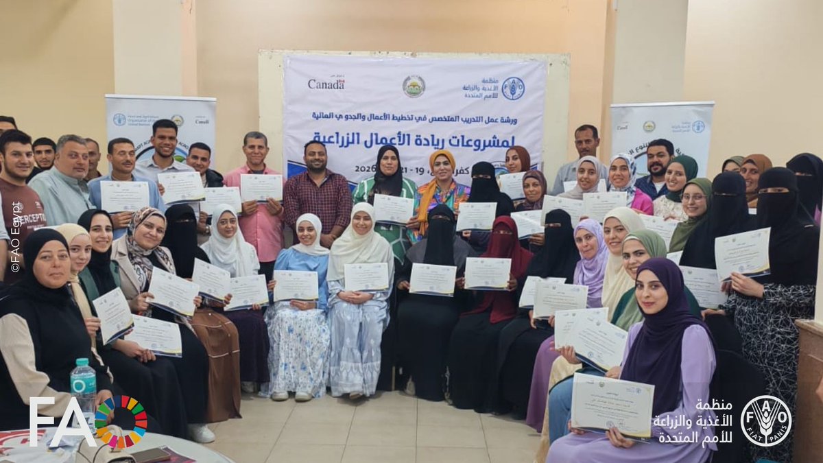 FAO in Egypt tweet media