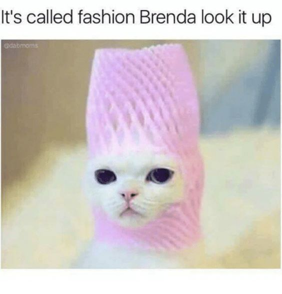 WholesomeMemes tweet media