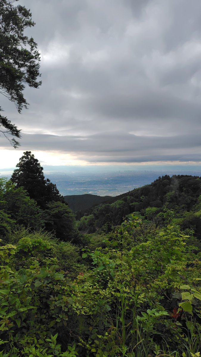 出来川 tweet media