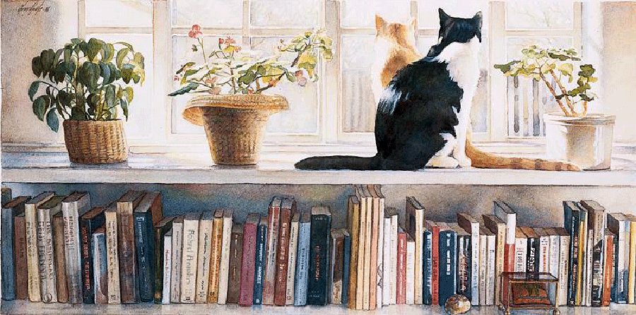 Cats on the bookshelf tweet media