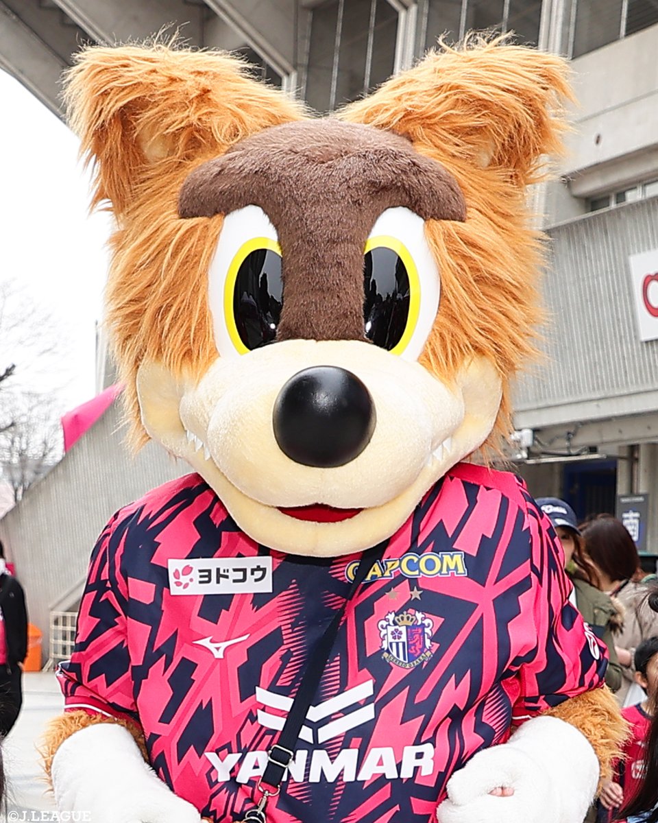 JリーグオールスターDAZNカップ には、 マスコットが大集合