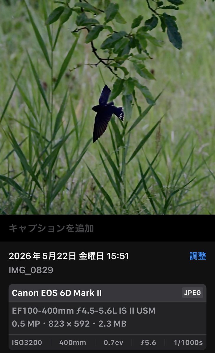 えのこ tweet media