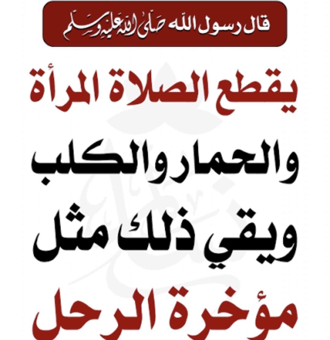 Noureddine tweet media