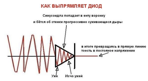 🇺🇦 🇩🇪 🇵🇬 трансгуманистический знатный эльф tweet media