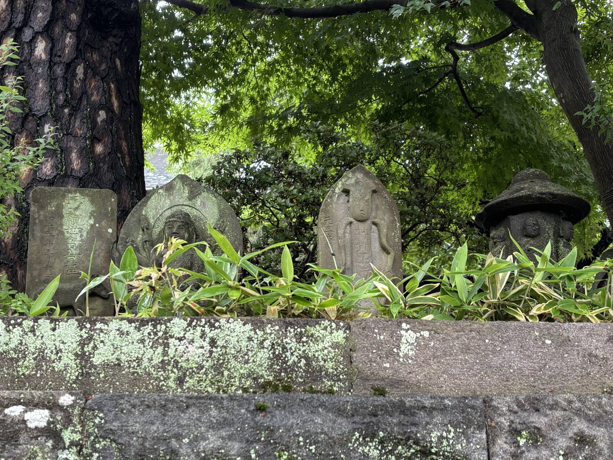 vino421's tweet photo. 今日は神代植物公園、深大寺。
小雨の深大寺は趣き深い☂️ https://t.co/WhieQLt0AC