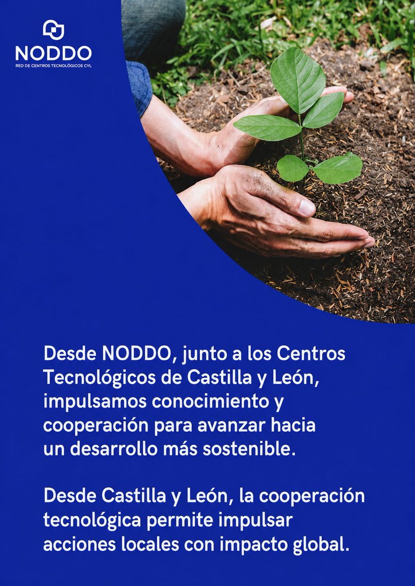 NODDO tweet media