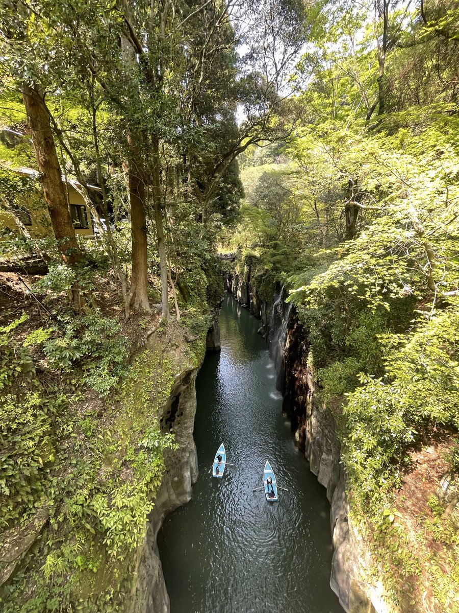 市村基 tweet media