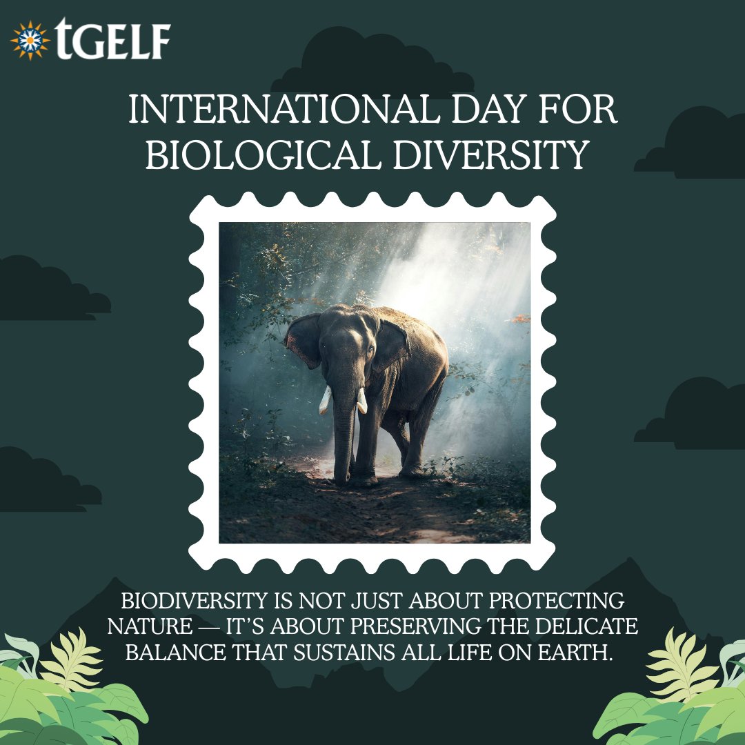 tGELF's tweet photo. Biodiversity is the foundation of life on Earth. 

Every species matters. Every ecosystem counts.

On the International Day for Biological Diversity, let’s commit to protecting the delicate balance that sustains us all. 

#BiodiversityDay #NatureConservation #Sustainability https://t.co/0IqriqcxzE
