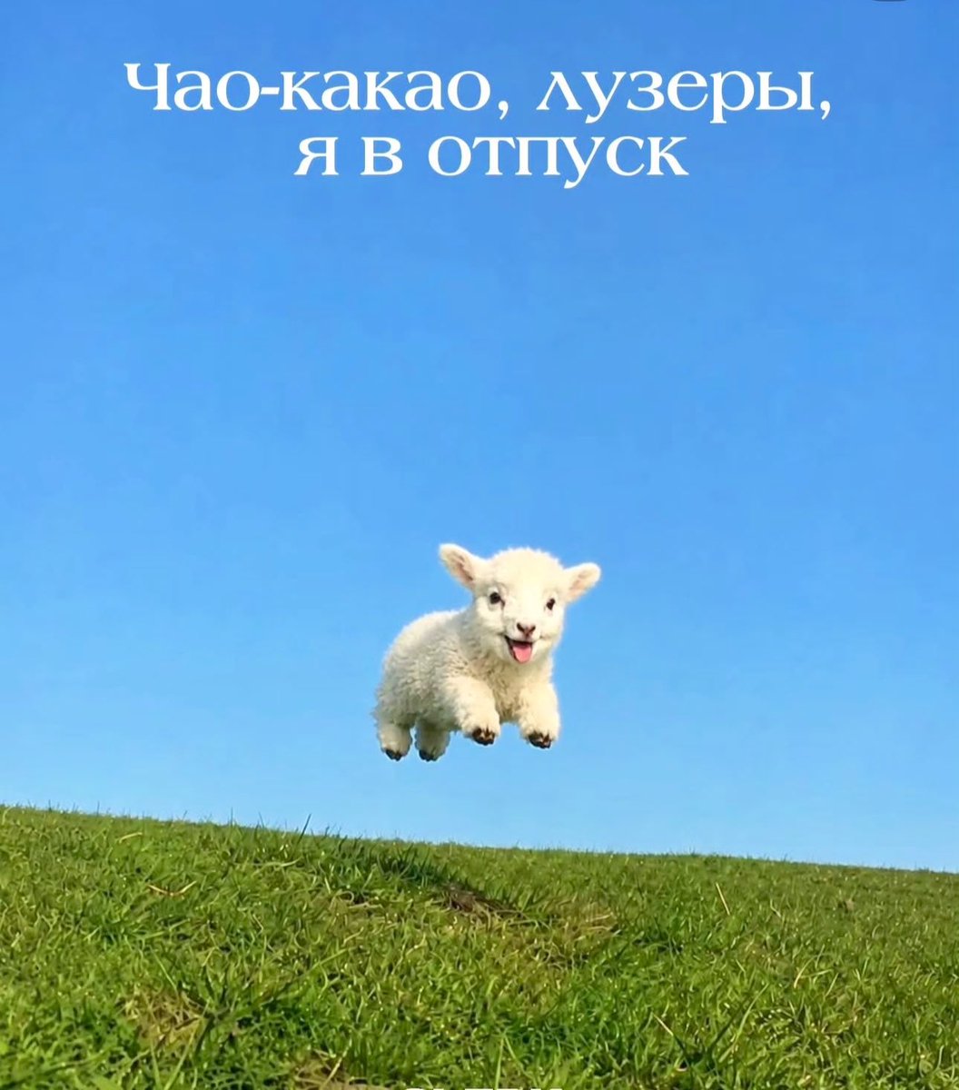 ГузеевЛарец tweet media