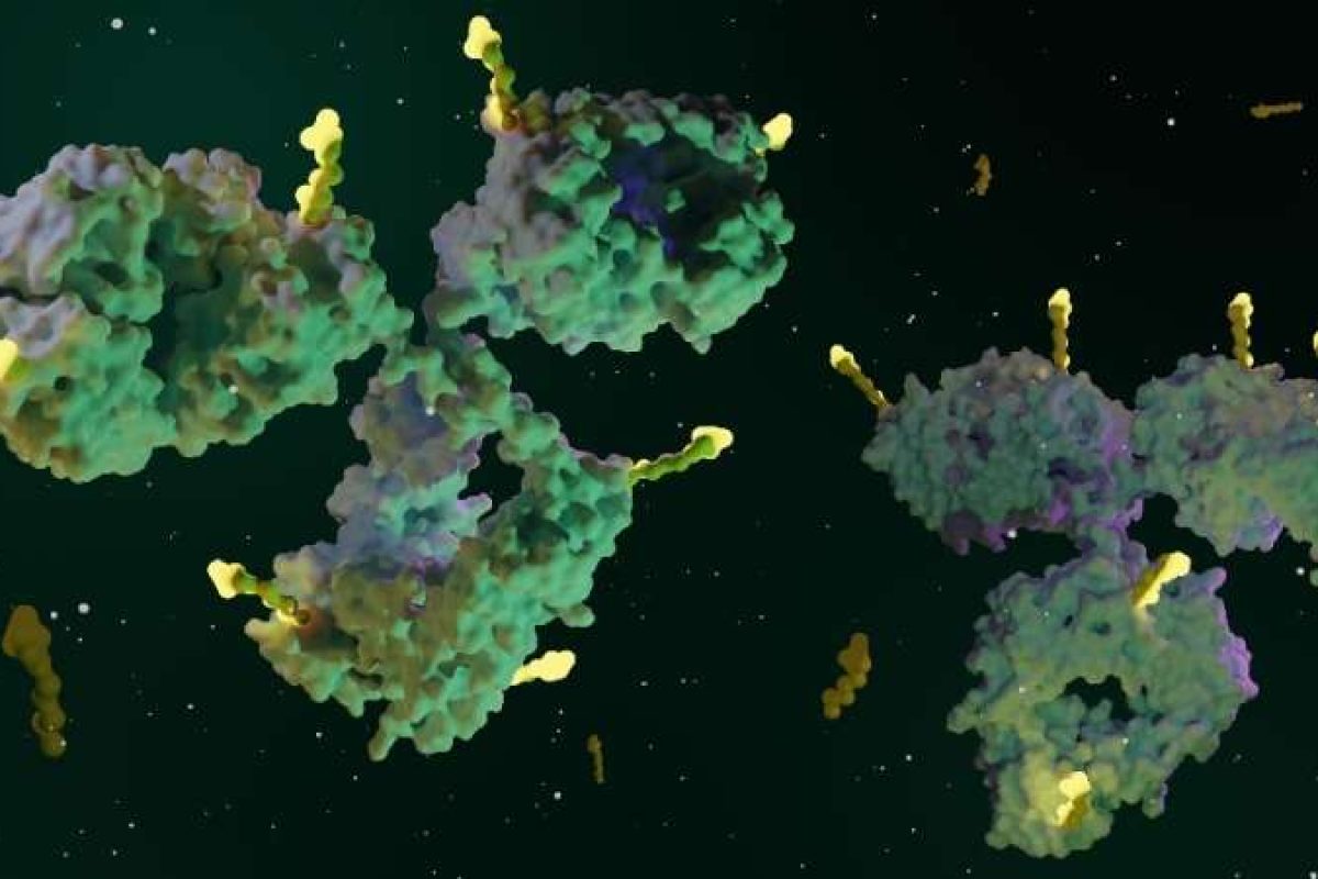 Drug Discovery World tweet media