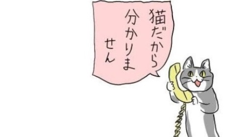 ハードゲイのフォー! tweet media