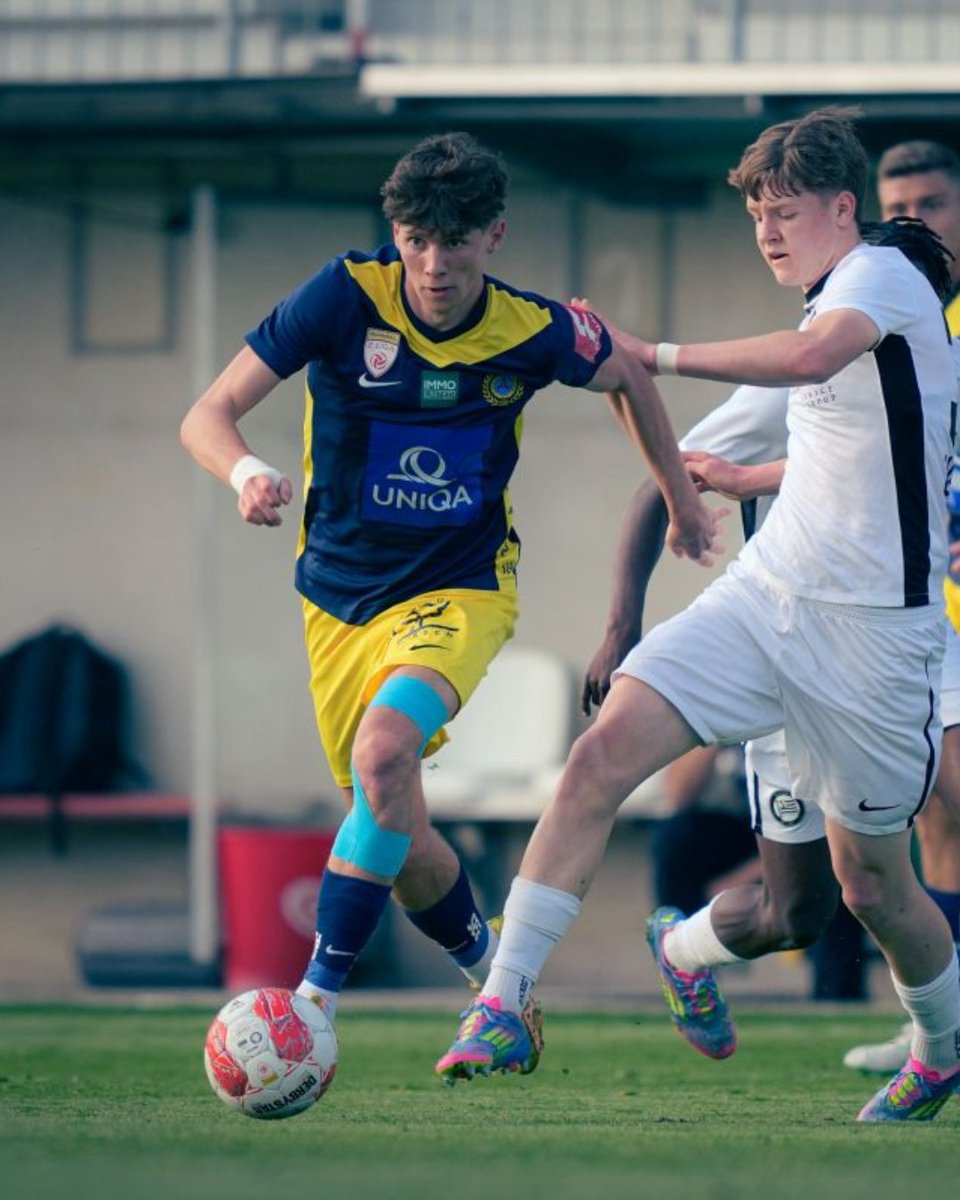 FirstViennaFC's tweet photo. Bernhard Unger und David Ungar bleiben auch in der kommenden Saison Teil unseres blau-gelben Teams. Beide Leistungsträger haben ihre auslaufenden Verträge verlängert und gehen somit weiter für die Vienna auf den Platz. 💪

Alle Infos: https://t.co/xN5IfJIW3a https://t.co/kd0xEOssRx