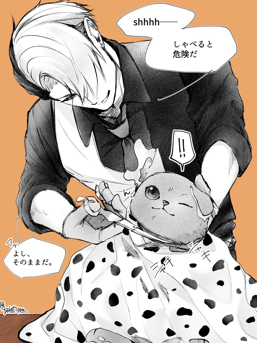 チョコチップ tweet media