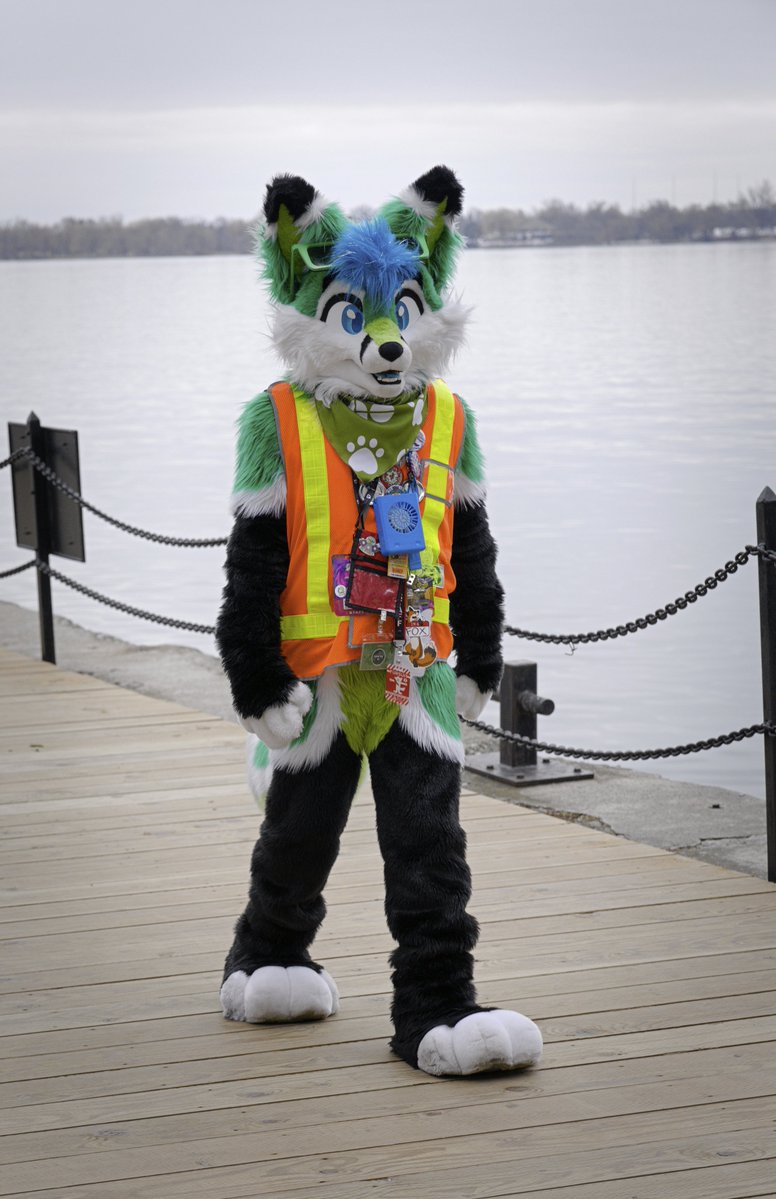 LinxFox aka JorTheWolf 🏳️🌈 tweet media