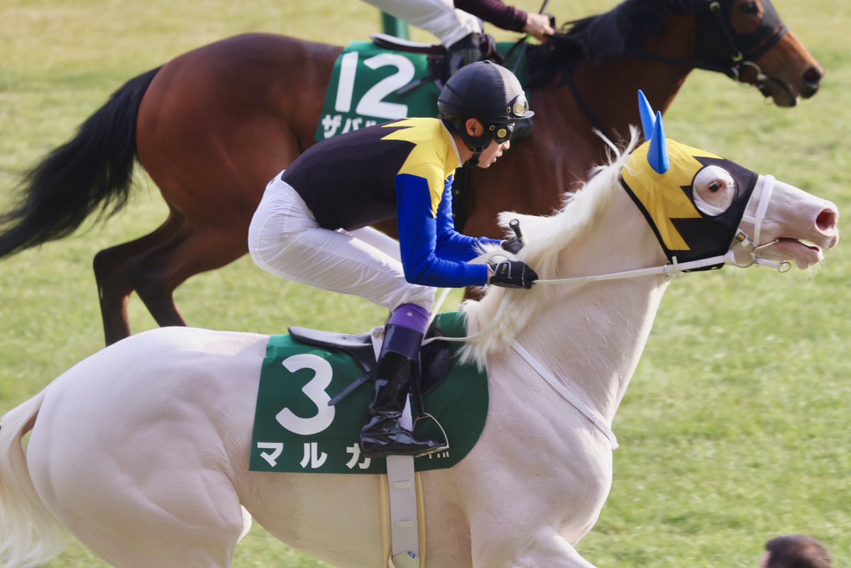 たかださん tweet media