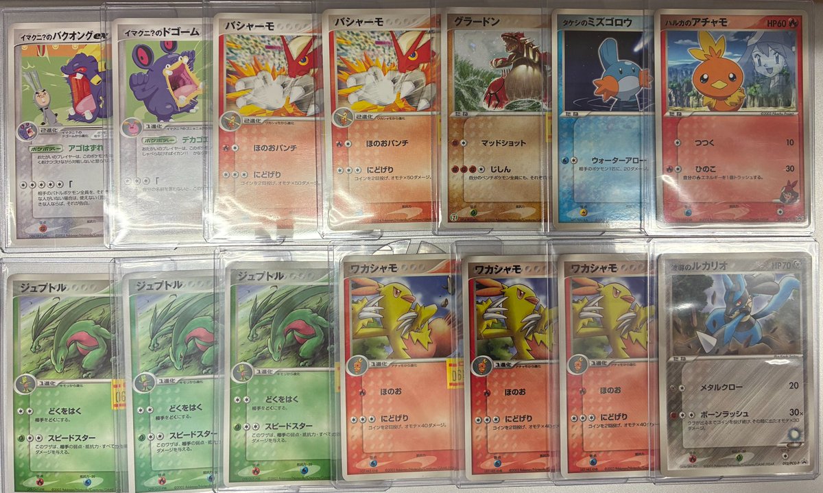 ポケモンカード販売情報】 🔥ハルカのアチャモ🔥 ADVプロモ入荷しま