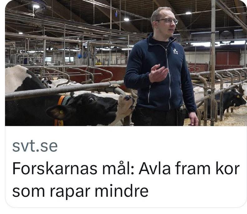 Johan tweet media