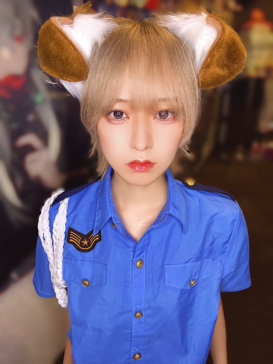花風さやか👑2/24日本武道館×もふるクロス tweet media