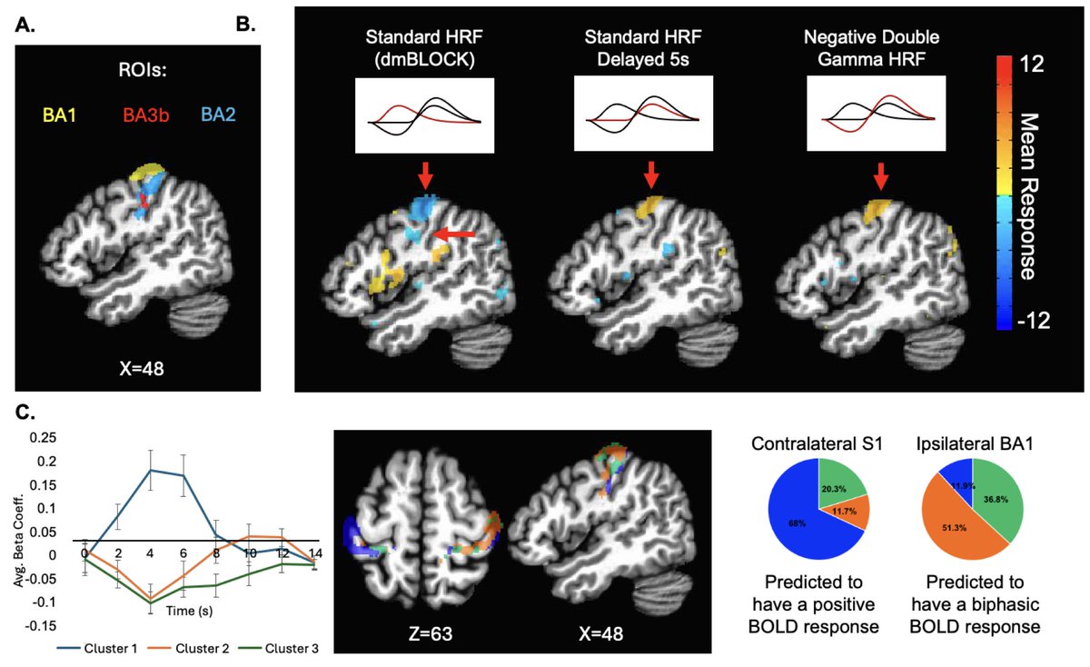 Imaging Neuroscience tweet media