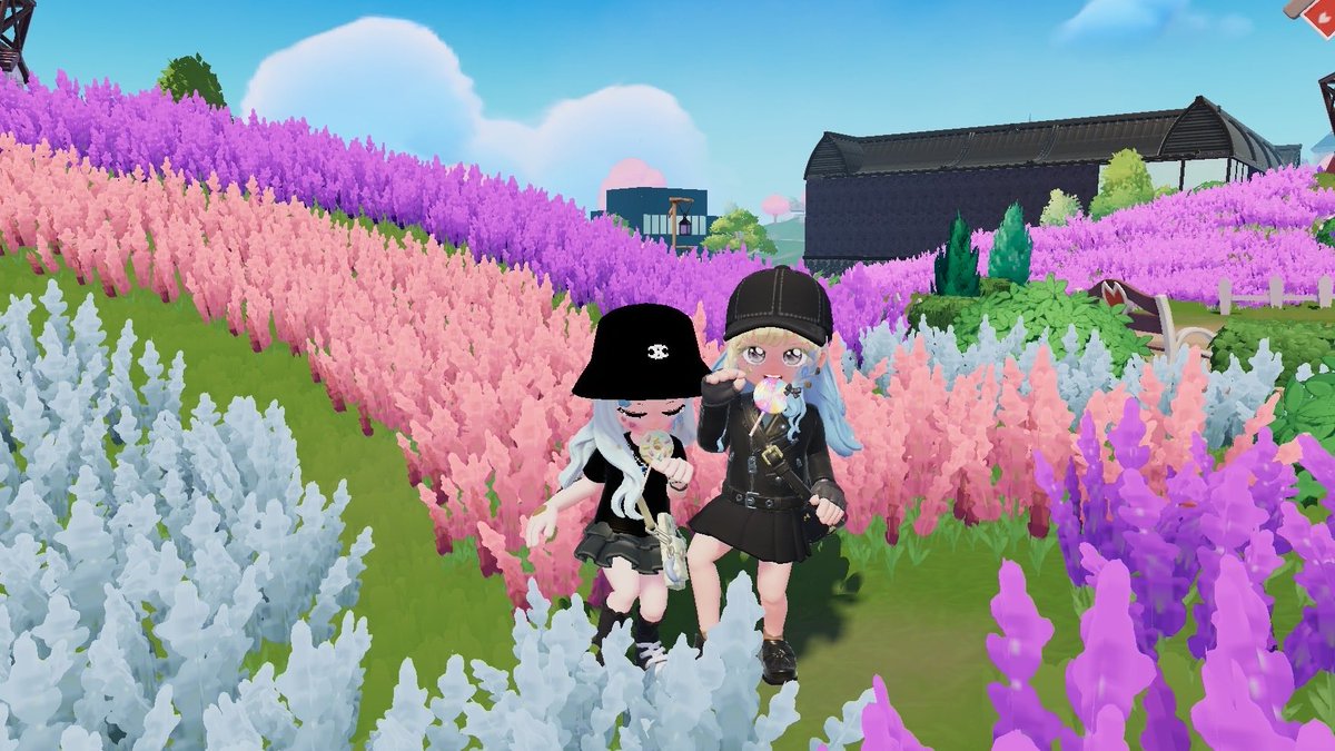 燐加 tweet media