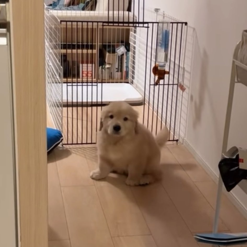 takemybear 🐶 tweet media