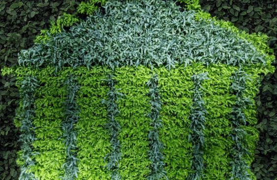 New Phytologist tweet media
