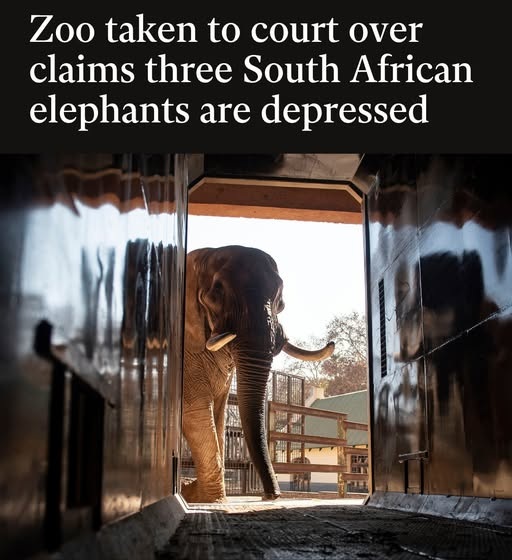 PROTECT ALL WILDLIFE tweet media