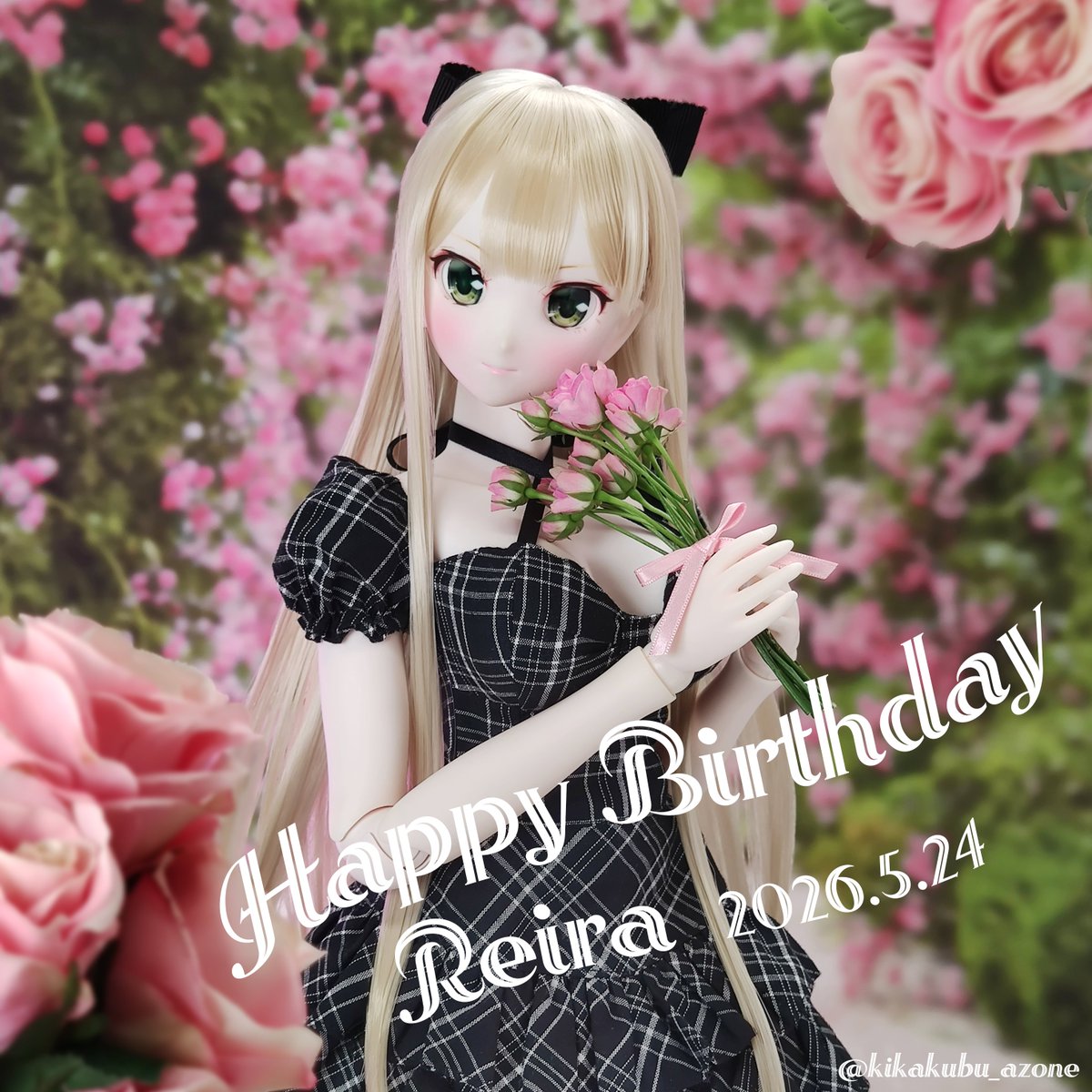 アイリスコレクト】 本日5月24日は「レイラ」ちゃんのお誕生日です