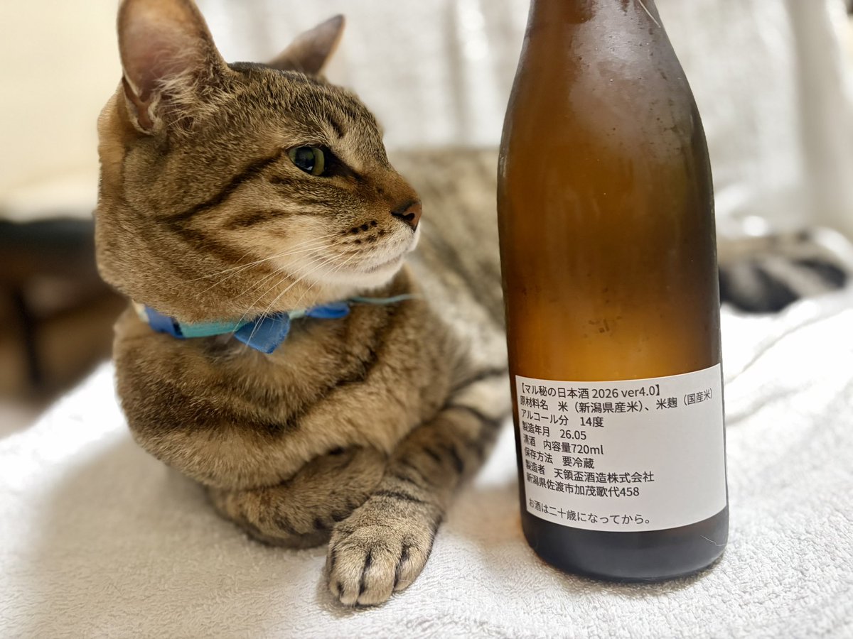 TAKAO623's tweet photo. きょうのやまと。新潟県佐渡市 天領盃酒造 マル秘の日本酒 2026 ver4.0 と愛猫🍶🐈佐渡産ごまふぐ白子ポン酢といただく、至高のマリアージュ🐡🍶 https://t.co/odWocgx3kD